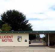 Millicent Motel - Holiday Find