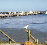 Seaview Motel and Holiday Units - Holiday Find