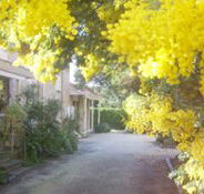 Surfcoast Retreat - Holiday Find