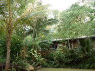Kuranda Rainforest Accommodation Park - Holiday Find 3