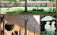 Arch Motel - thumb 2