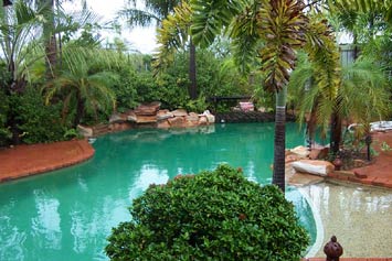 The Lounging Lizard - Holiday Find 1