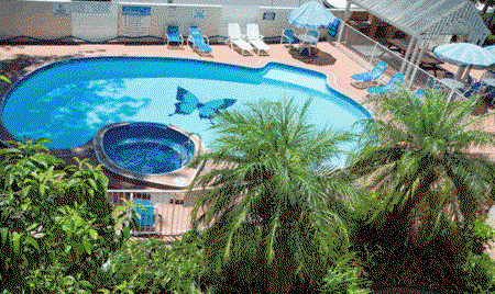 Surfers Tradewinds - Holiday Find 4