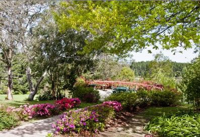 Bilpin Resort - Holiday Find 2