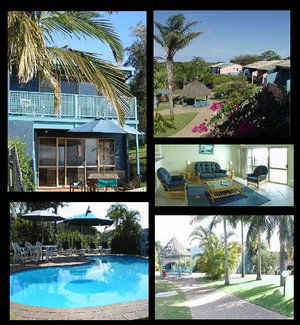 Pandanus Palms Resort - Holiday Find 1