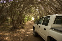 Nampara Cabins - Holiday Find 1