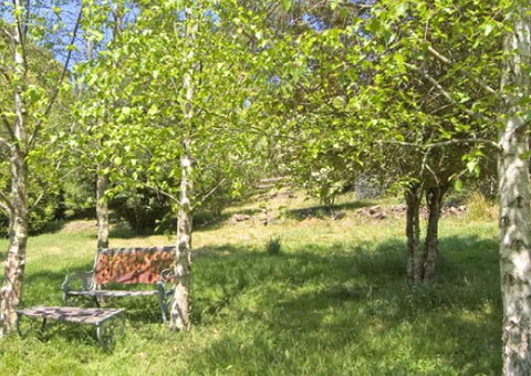 Tomah Mountain Lodge - Holiday Find 2