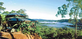 Daintree Cloud 9 - Holiday Find 1