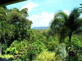 Daintree Manor - Holiday Find 3