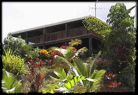 Daintree Manor - Holiday Find 5