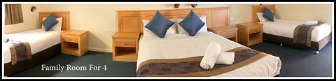 Apollo Motel - Holiday Find 11