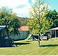 Willow Dene