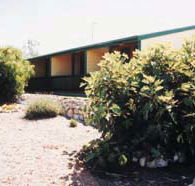 The Fig Tree Bed  Breakfast - Holiday Find