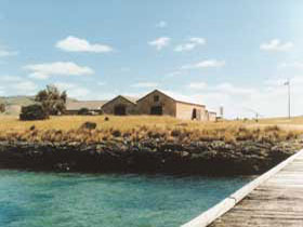 Mt Dutton Bay Woolshed Hostel - Holiday Find 0