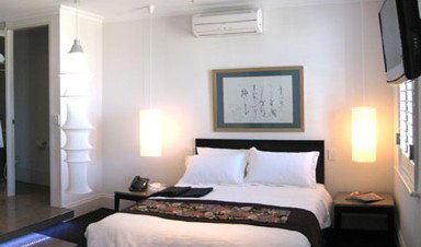 The Australasian Circa 1858 - Holiday Find 1