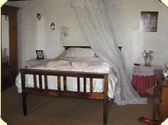 Wellington Courthouse - Holiday Find 2