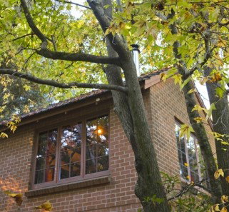 Crafers Cottages - Cherrytree Cottage - Holiday Find 4