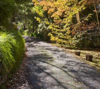 Crafers Cottages - Cherrytree Cottage - Holiday Find 5