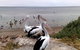 Venus Bay Caravan Park - thumb 1