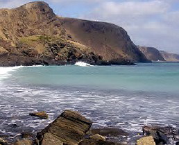 Periwinkles At Second Valley - Holiday Find 1