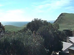 Periwinkles At Second Valley - Holiday Find 2