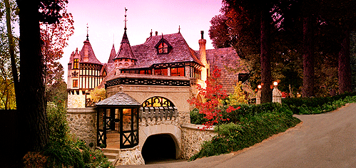 Thorngrove Manor - Holiday Find