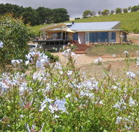 The Blue Grape Vineyard Accommodation - Holiday Find
