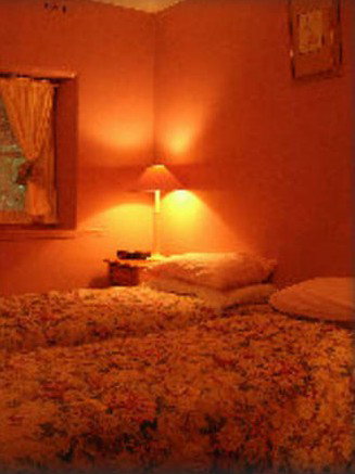 Peppertree - Mintaro - Holiday Find 2