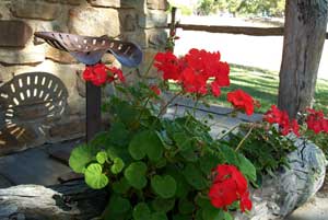 Adelaide Hills Country Cottages - Gum Tree Cottage - Holiday Find 3