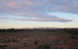 Wirrealpa Station - Holiday Find 3