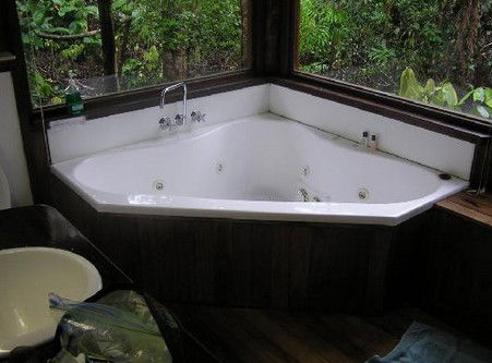 The Canopy Rainforest Tree Houses And Wildlife Sanctuary - Holiday Find 0
