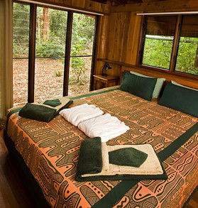 The Canopy Rainforest Tree Houses And Wildlife Sanctuary - Holiday Find 2