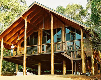 The Canopy Rainforest Tree Houses And Wildlife Sanctuary - Holiday Find 4