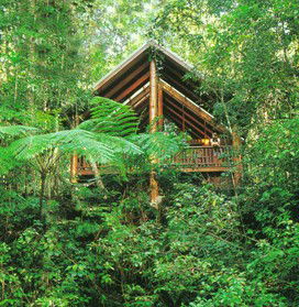 The Canopy Rainforest Tree Houses And Wildlife Sanctuary - Holiday Find 5