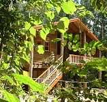 Rivers Edge Rainforest Retreat - Holiday Find