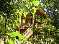 Rivers Edge Rainforest Retreat - Holiday Find 0