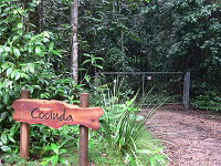 Rivers Edge Rainforest Retreat - Holiday Find 4