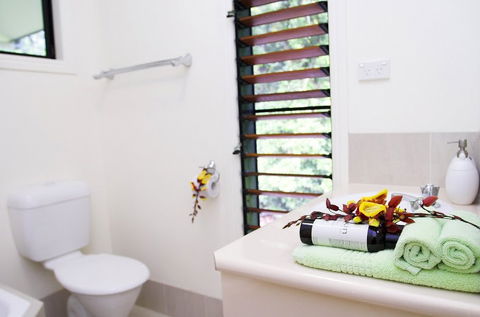 Misty Mountains Tropical Rainforest Romantic Retreat - Holiday Find 5