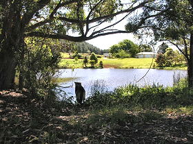 Lapoinya TAS Holiday Find