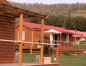 Maydena Country Cabins Accommodation & Alpaca Stud - Holiday Find 0
