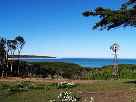 Three Hummock Island TAS Holiday Find