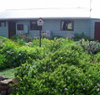 Engadine Cottage - Holiday Find