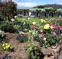 Wintersun Gardens Motel