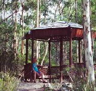 Telopea