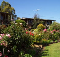 Mole Creek Holiday Village - Holiday Find