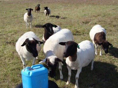 Pinners Bed And Breakfast - Holiday Find 2