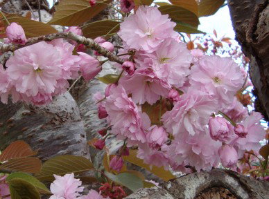 Pinners Bed And Breakfast - Holiday Find 3