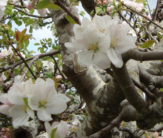 Pinners Bed And Breakfast - Holiday Find 4