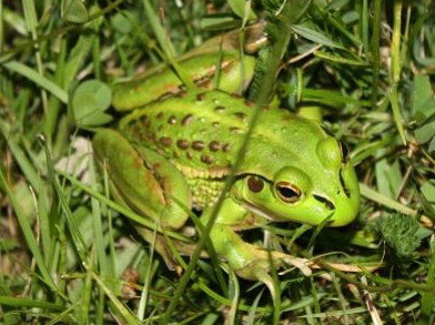 Pinners Bed And Breakfast - Holiday Find 5