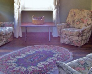 The Jenny Wren - Holiday Find 1